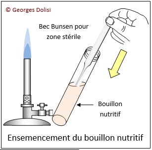 bouillon nutritif