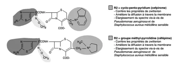 Céphalosporines de quatrième génération 