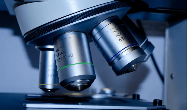microbiology