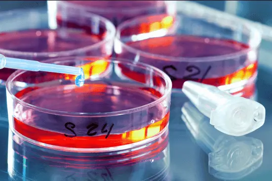 microbiology