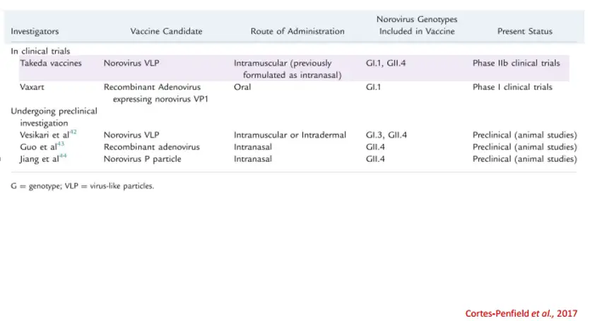 Norovirus