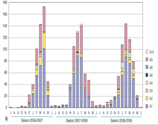 Rotavirus Épidémiologie