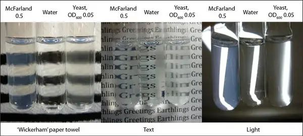 0.5 MACFARLAND