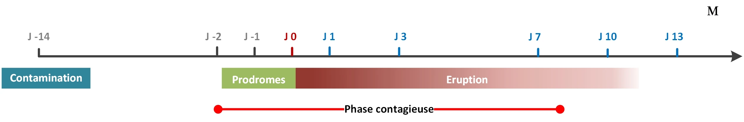 varicelle 