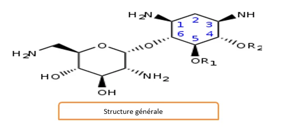 Aminoside 