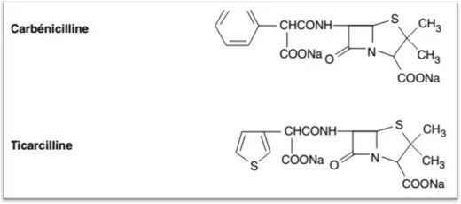 cycle β-lactame