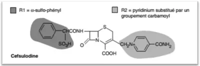 cycle β-lactame