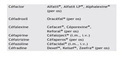 Céphalosporines de
                            deuxième génération