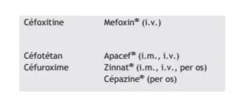 cycle β-lactame