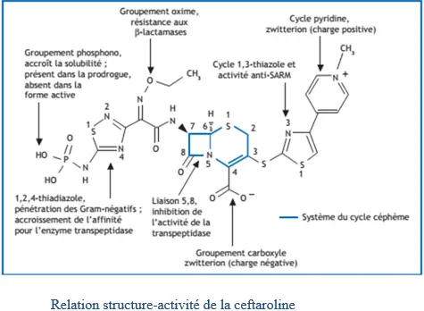  Ceftaroline