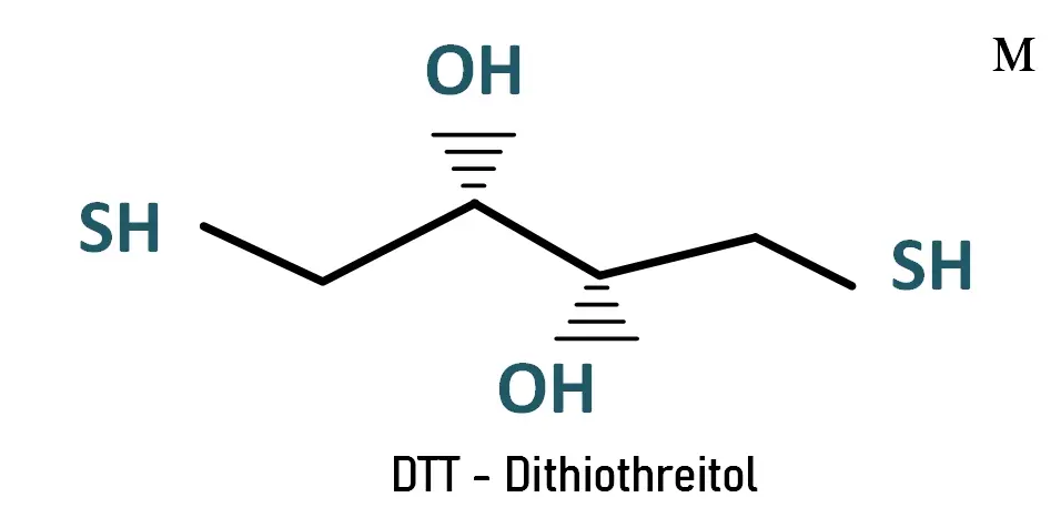 DTT - Dithiothreitol