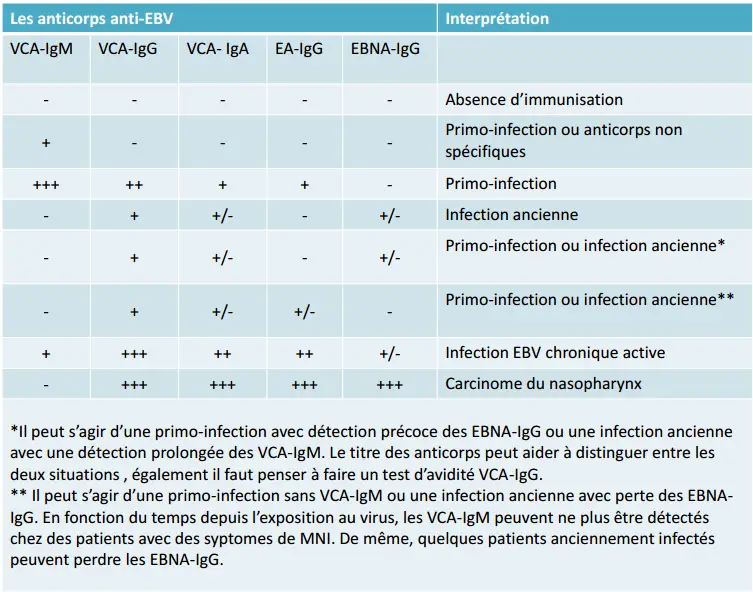 Epstein-Barr virus 