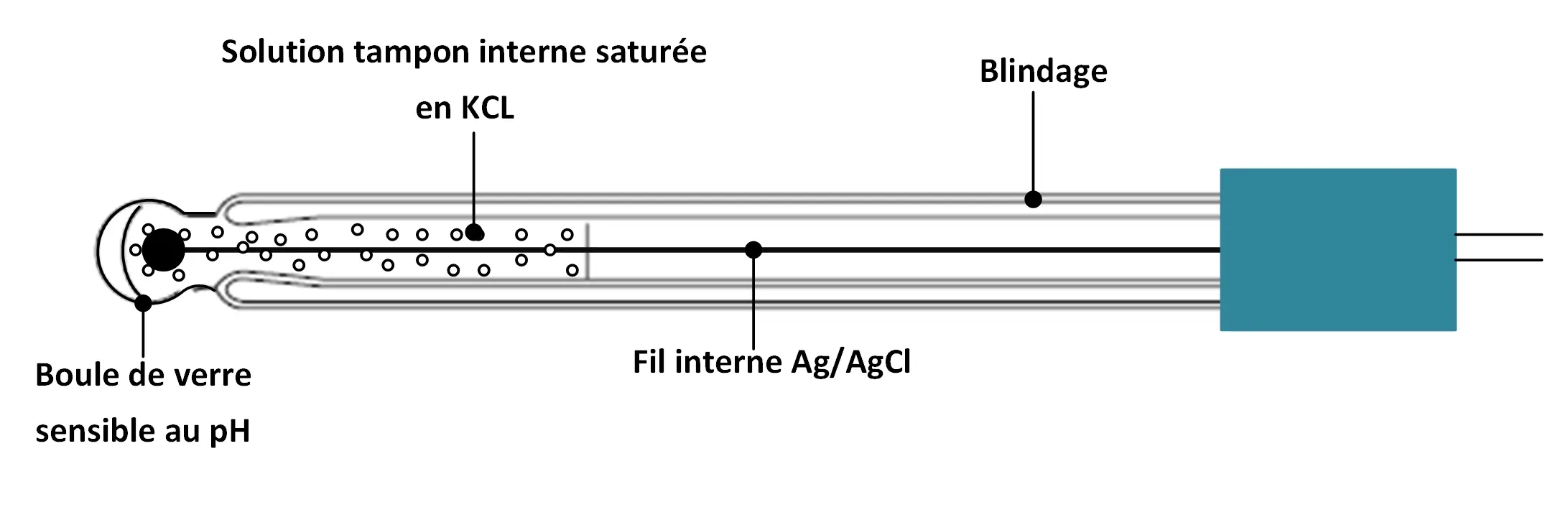 électrode de verre du pH