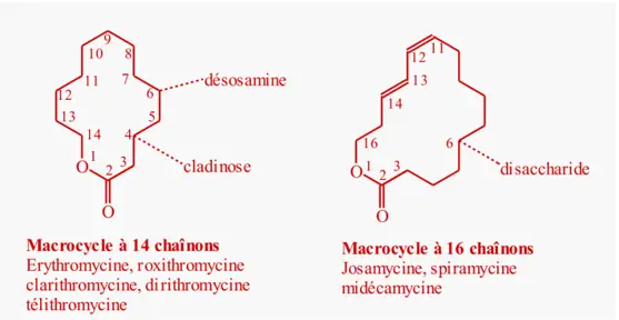 macrolide