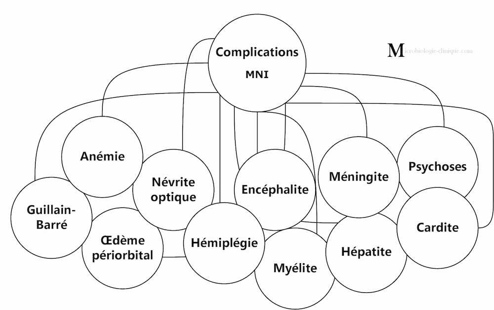 complications de la mononucléose infectieuse 