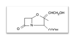 cycle β-lactame