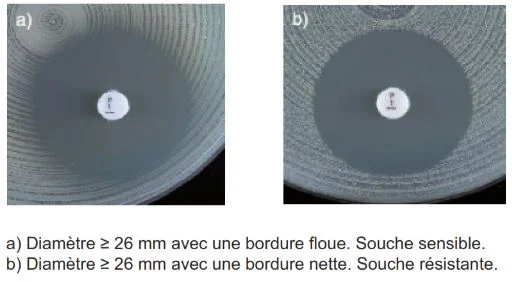 pénicillinase selon CA-SFM