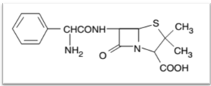 amino-pénicillines