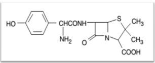 amino-pénicillines