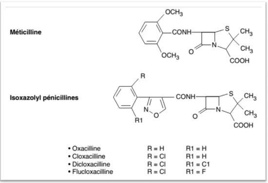 pénicilline M