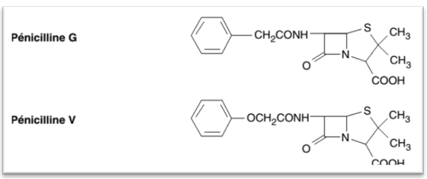 pénicilline G