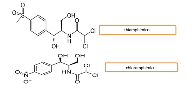  streptogramine