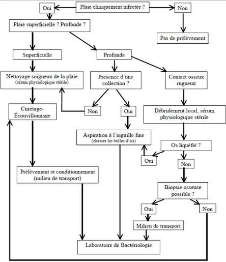 Choix des prélèvements de pied-diabétique