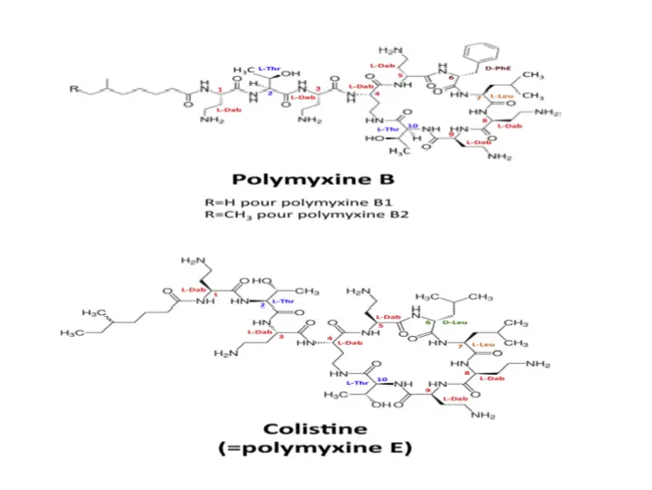 colistine