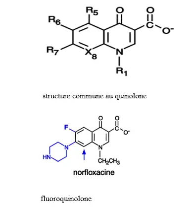  streptogramine