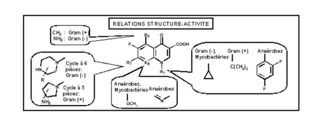  streptogramine