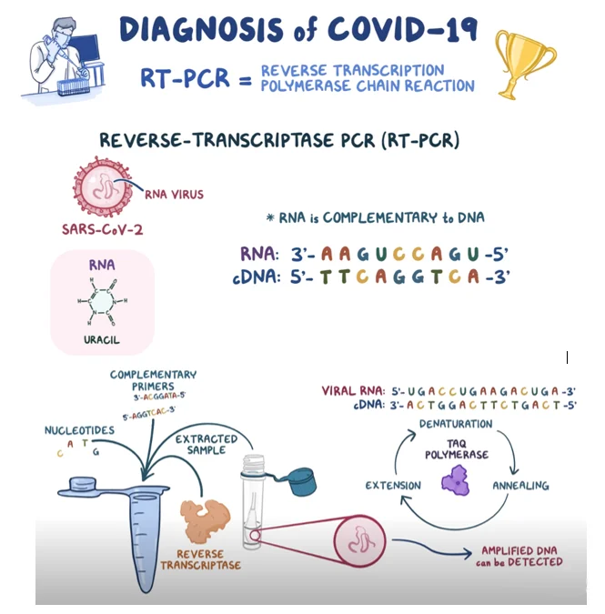 RT-PCR