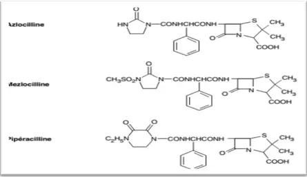 cycle β-lactame